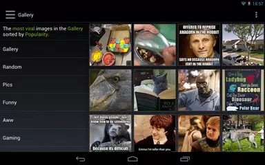 Imgr Gallery APK download