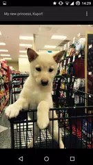 Imgr Gallery APK download