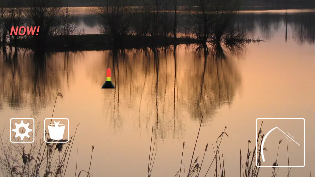 Float fishing simulator