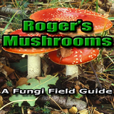 Roger Phillips Mushrooms Lite icône