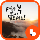 새해맞이 버즈런처 테마 (홈팩) icône
