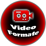 Video Formats Overview