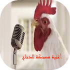 اغنية مضحكة للدجاج آئیکن