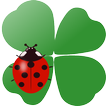 Coccinella Live Wallpaper