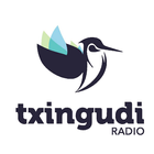 Txingudi Radio アイコン