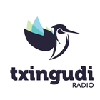 Txingudi Radio icon