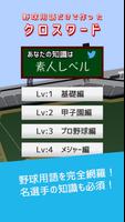野球用語だけでクロスワード作ってみた Poster