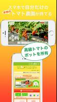 岡山市ふるさと納税（こそふる）こっそり農遠トマト poster
