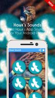 Hawk's Sounds 2017 Free capture d'écran 1