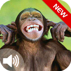 Monkey's Sounds 2017 Free ikon