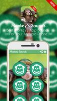 Monkey's Sounds 2017 Free syot layar 3