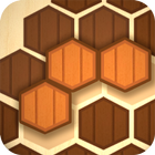 Wooden Hexa Puzzle icône