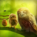 Owls Live Wallpaper Trial APK