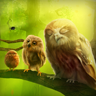 Owls Live Wallpaper Trial آئیکن