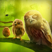 Owls Live Wallpaper Trial