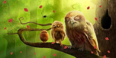 Owls Live Wallpaper Trial ภาพหน้าจอ 2