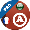 Bronze Dictionary Pro (FR-AR)