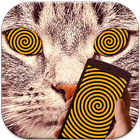 Cat Hypnosis Simulator icono
