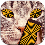 Cat Hypnosis Simulator
