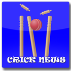 Cricket News Blue icône