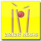 Cricket News Yellow icône