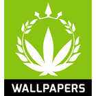ikon Marijuana HD Wallpapers