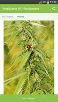 Marijuana HD Wallpapers poster
