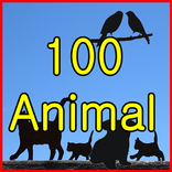 animal pictures 100