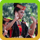 Mp3 Lagu Batak Mardua Holong Offline Lengkap APK