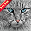 Kedi Resimleri wallpapers APK