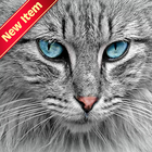 Cat Wallpapers ícone
