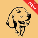 Golden Retriever Duvar Kağıdı APK