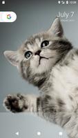 Kitten Wallpapers imagem de tela 2