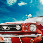 Muscle Car Wallpapers biểu tượng