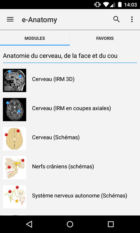 e-Anatomy APK Download - Free Medical APP for Android | APKPure.com