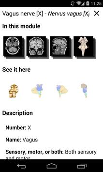 e-Anatomy APK Download - Free Medical APP for Android | APKPure.com