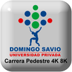 Carrera Pedestre 4K y 8K UPDS APK