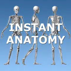 Anatomy Lectures APK 下載
