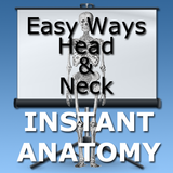 Easy Ways Head, Neck and Limbs