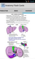 Anatomy Flash Cards capture d'écran 2