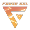 ForgeVPN SSL