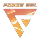 ForgeVPN SSL ikon
