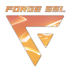 ForgeVPN SSL icône