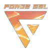 APK ForgeVPN SSL