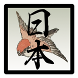 Flash cards Kanji Japonés