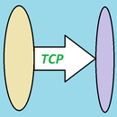 TCP - Basic server and client APK