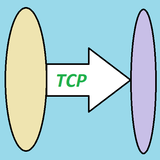 TCP - Basic server and client आइकन