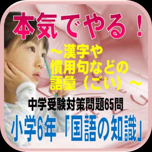 本気でやる 小学6年 国語の知識 漢字や慣用句などの語彙 ごい