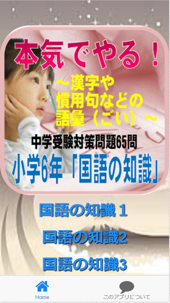 本気でやる 小学6年 国語の知識 漢字や慣用句などの語彙 ごい