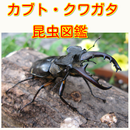 カブトムシ・クワガタ　昆虫図鑑　最強の昆虫ムシキング APK